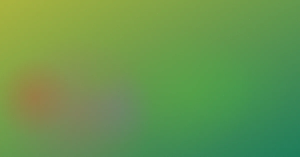 假日暖洋洋2对比：一次选剧复盘